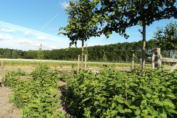 Lodgerie Het Groene Geheim (Almere)